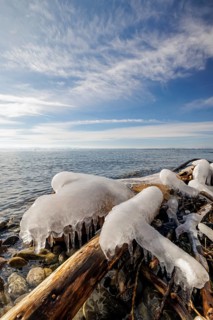 Branch covered with icicles lies on the lake under a slightly cloudy sky, harbour, Gohren, Lake