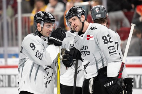 PSD Bank Dome, Düsseldorf, North Rhine-Westphalia, Alexandre Grenier (Koelner Haie, #82),