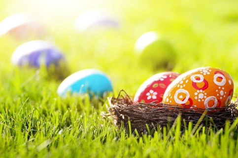 Easter eggs in the nest on green spring grass