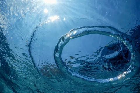 Underwater Bubble Ring Ascends towards the Sun