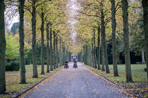 Copenhagen, Denmark, October 27, 2022: People in a tree alley on Vestre Cemetery during autumn,