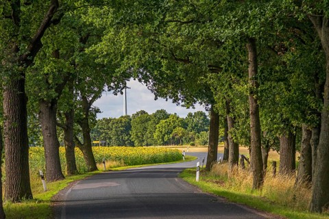 Country road