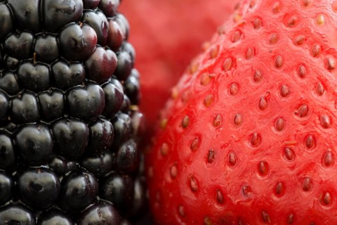 Strawberry and Blackberry Close up macro studio
