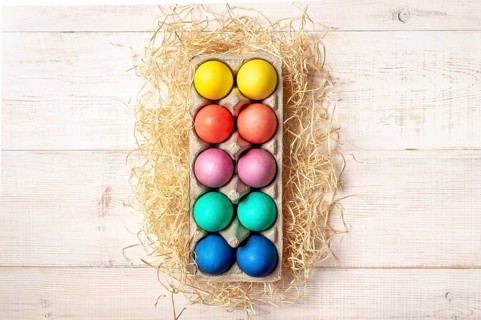 Easter concept. Colorful eggs on white wooden background with copy space for text or design. Top
