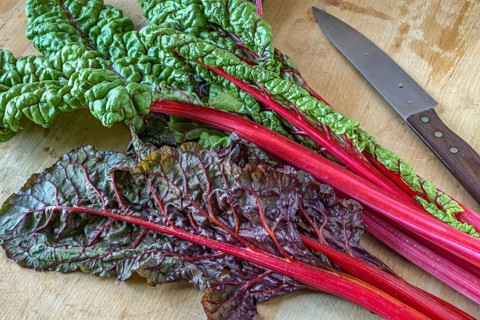 Red-stemmed chard on a beechwood board