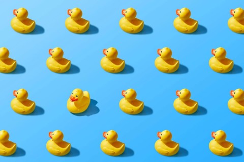 Trendy pop art design of a yellow rubber duck pattern from a top view. Dissenting opinion, chosen