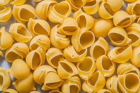 Shell macaroni background food and drink concept