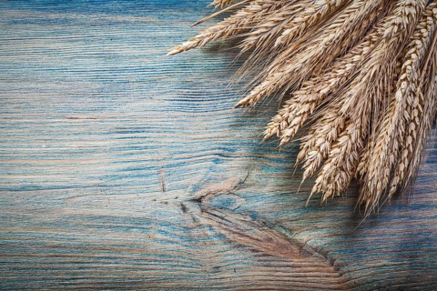 Stack of golden wheat rye ears on vintage wood board