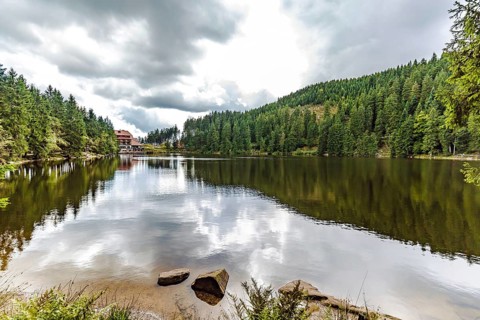 Ruhiger Bergsee mit Spiegelungen der umliegenden grünen Wälder von einem felsigen Ufer aus gesehen