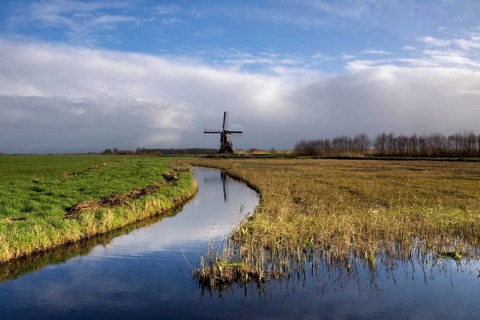Dutch polder landscape with a windmill in the region Alblasserwaard