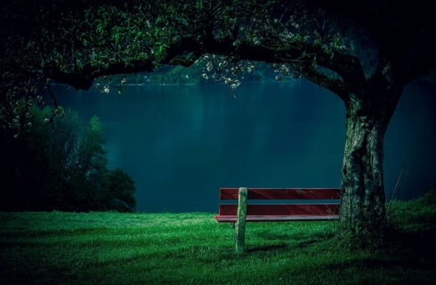 Red wooden bench in a blooming orchard with a beautiful view of the lake Walensee, in the Swiss