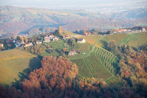 Autumn atmosphere in the evening light, forest with foliage colouring, hilly landscape, vineyards,
