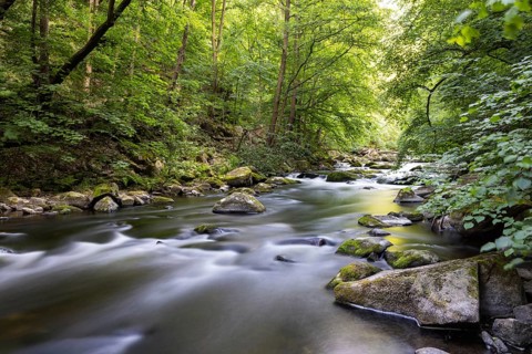 The Bode Valley in the Harz hiking paradise of Thale