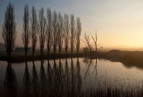 Row of trees near Uppel reflecting in a pond just before sunset