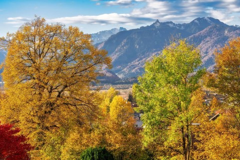 Autumn scenic with the view from the town Murnau to the alps