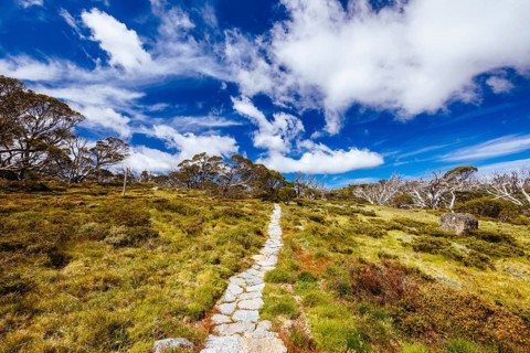 Landscape views along the Porcupine Walking Track on a summer's day in Kosciuszko National Park,