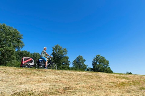 Senior man on bike with dog in a trailer on a Dutch dike