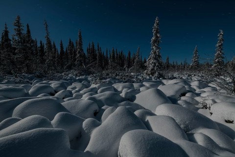 Winter landscape by moonlight, Muddus National Park, Laponia World Heritage Site, Norrbotten,