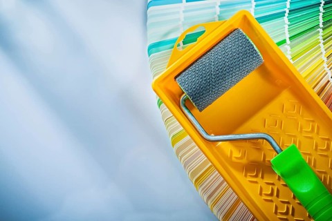 Color sampler paint roller tray on white surface