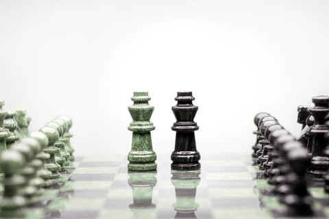 A composition of two kings between the rails of chess pieces