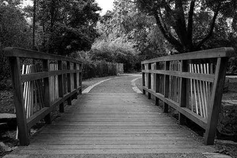 View over a pedestrian bridge in a municipal park, black and white, Cologne, North