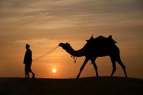 Camels and keepers, Jaisalmer, Rajasthan, India, Asia