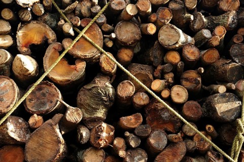 Truck loaded with firewood, munnar, kerala, India, Asia