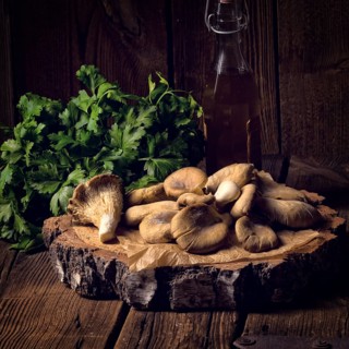 Pleurotus