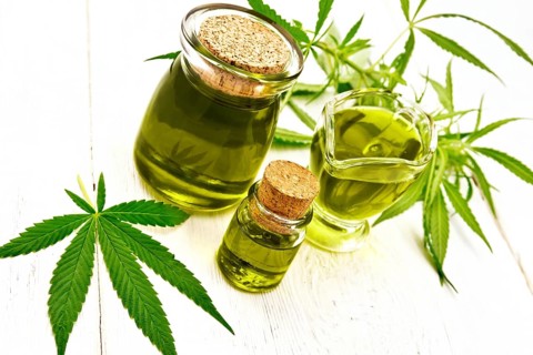 Hemp oil in two glass jars and sauceboat, leaves and stalks of cannabis on the background of wooden