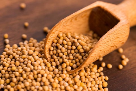 Spicy mustard seeds in a wooden background
