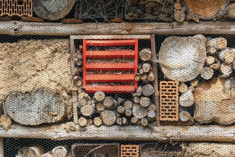 Insect hotel habitat
