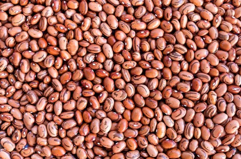 Beans of bean (beans). Background of many grains of dried beans. Brown beans texture. Food