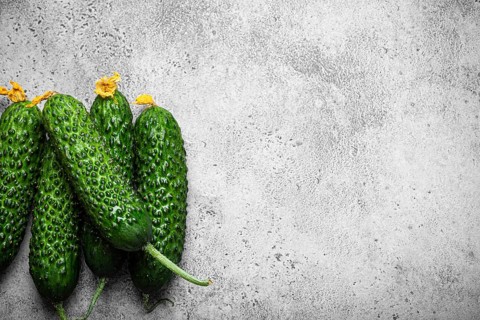 Fresh raw organic farmer cucumbers with leafs arranged on grey rustic stone background top view,