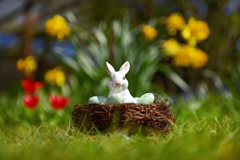 Easter bunny in the Easter nest in front of spring flowers
