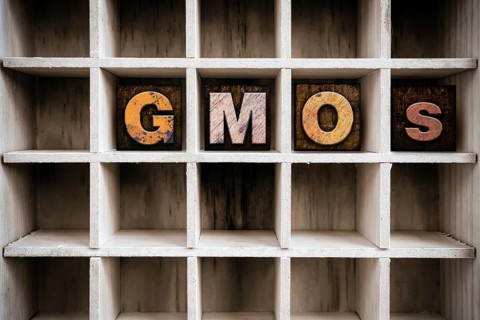 The word GMOS written in vintage ink stained wooden letterpress type in a partitioned printer's