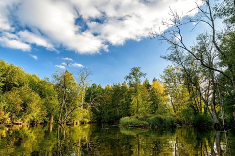 Krutynia River in Masuria in eastern Poland