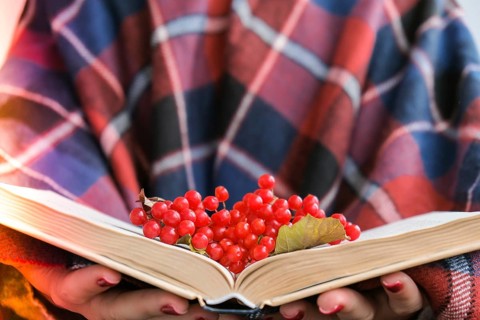 Stylish red female nails. Hands Holding Red Currants and reading book. Modern Beautiful manicure.