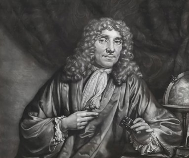 Antonie Philips van Leeuwenhoek, 1632 – 1723, a Dutch microbiologist and microscopist