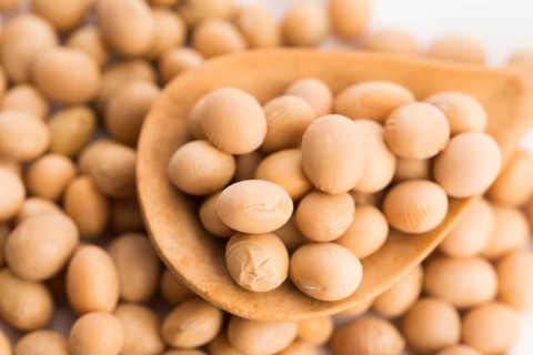 Soybeans on wooden background