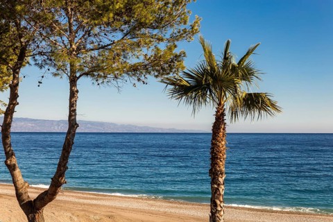Sicilian waterfront with palm trees and golden beach