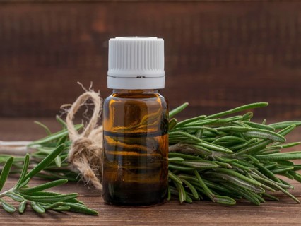 Rosemary essential oil in dark glass bottle and fresh rosemary on dark wooden background with copy