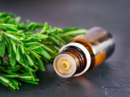 Rosemary essential oil in dark glass bottle and fresh rosemary on dark background with copy space