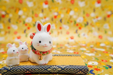 Rabbit year New Year material (New Years card). Shooting Location: Yokohama-city kanagawa