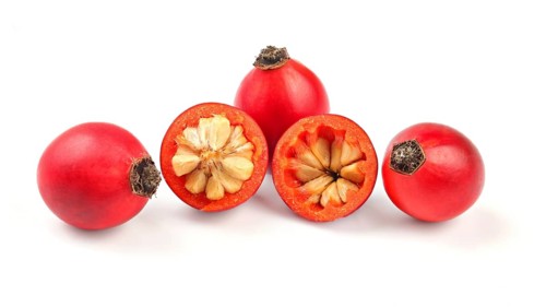 Rosehips (Rosa Canina fruits), one cut in half isolated on white background, Liptovsky Hradok,