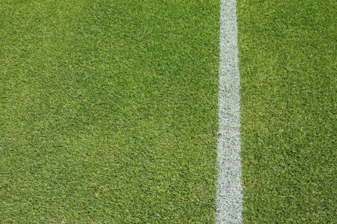 White line on the grass at soccer playing field in Lubin, Poland, Europe