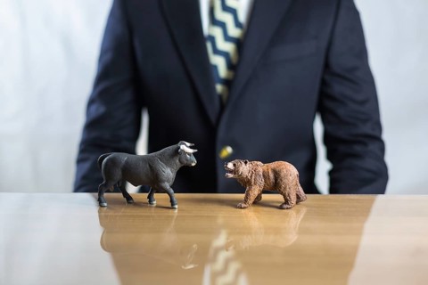 Stock market, securities trading and capitalism concept with a bull and bear concepts. Business