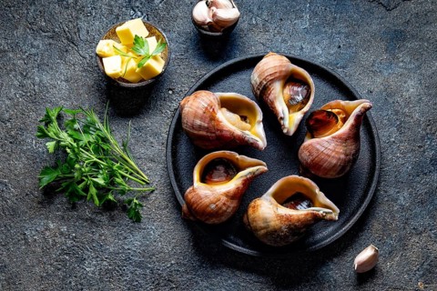 Food, Food, Raw ingredients giant ESCARGOT from Pacific ocean. Chilean big snails, butter, garlic