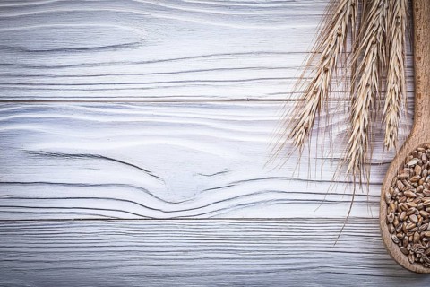 Ripe wheat and rye ears wooden spoon corn on wood board copy space