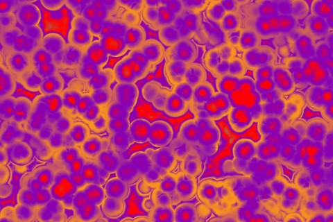Shape of bacterial cell: cocci, bacilli, spirilla bacteria background