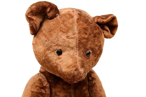 Closeup of the head of a shabby teddy bear toy on a white background